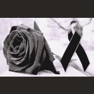 Meet your Posher, Sonia